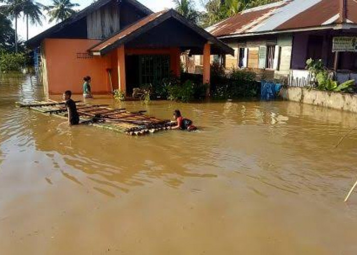 Anggaran Penanganan Banjir Kota Bengkulu Minim, Hanya Rp 3 Miliar