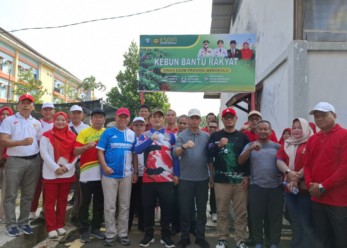 Kebun Bantu Rakyat Dinas ESDM Provinsi Bengkulu Panen, Sekdaprov Dorong OPD Ikut Bergerak