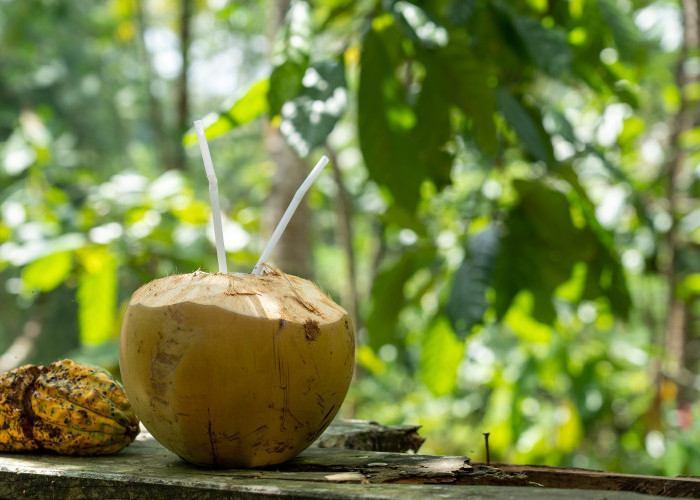 Benarkah Air Kelapa Bisa Menggantikan Minuman Elektrolit? Ini Faktanya