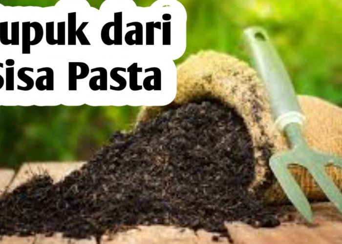 Membuat Pupuk Organik dari Sisa Pasta, Ini 4 Manfaatnya Bagi Tanaman