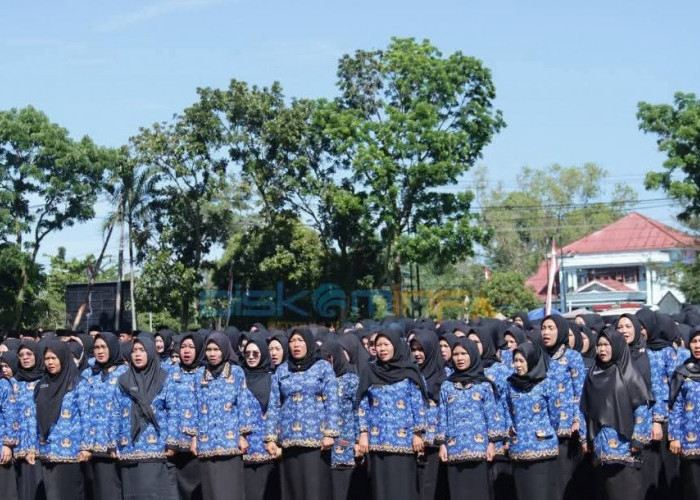 WFH ASN Bengkulu Selatan Berlaku Tiap Jumat, Pengawasan Langsung dari Atasan