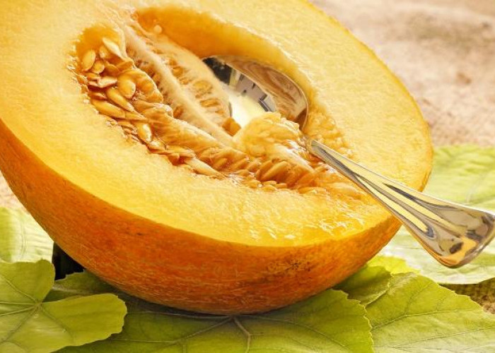 Selain Manis dan Lezat, Ini Dia Manfaat Buah Melon untuk Kesehatan Tubuh