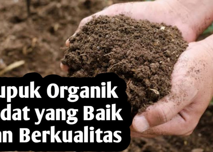 Cara Mengetahui Pupuk Organik Padat yang Baik dan Berkualitas, Berikut Ciri-cirinya