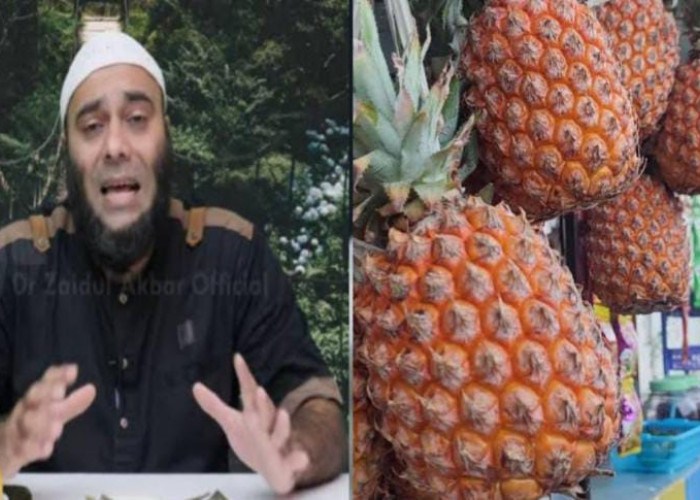 10 Manfaat Buah Nanas yang Jarang Diketahui, Berikut Penjelasan dr Zaidul Akbar