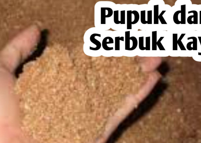 Membuat Pupuk Organik dari Serbuk Kayu, Ini Manfaatnya Bagi Tanaman