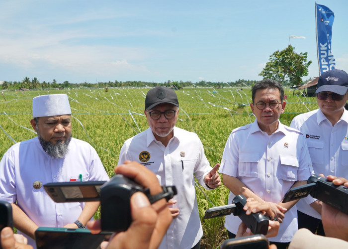 Zulhas Serukan Stop Ketergantungan Impor, Rembuk Tani Bengkulu Fokus Perkuat Petani Lokal