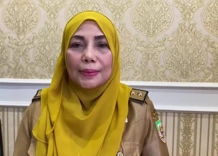 800 Hektare Lahan Telah Ditanami Jagung, Optimis Produksi Capai 90 Ribu Ton Lewat Program Sade Sahe