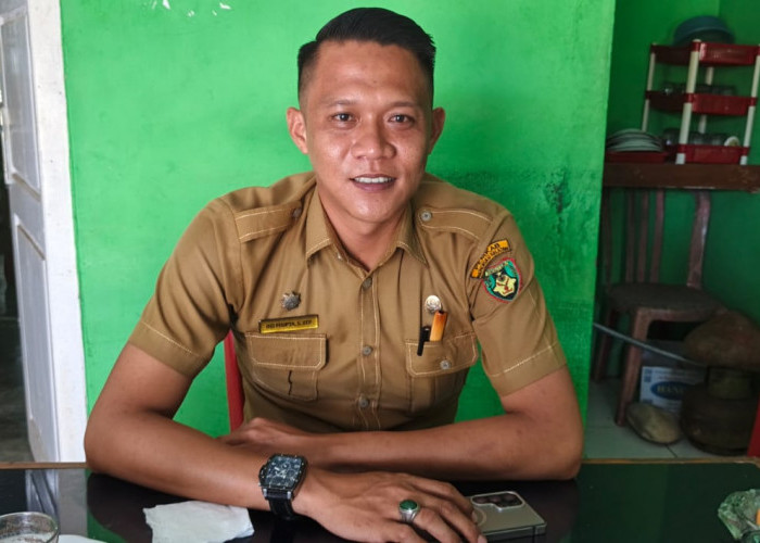 Sapi Berkeliaran di Pantai, Kelurahan Pasar Bawah Gandeng Satpol PP