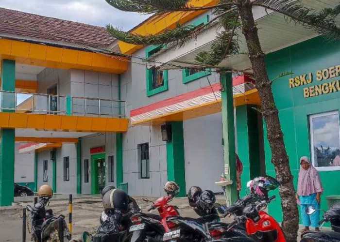 RSJK Soeprapto Bisa Terapi Anak Berkebutuhan Khusus