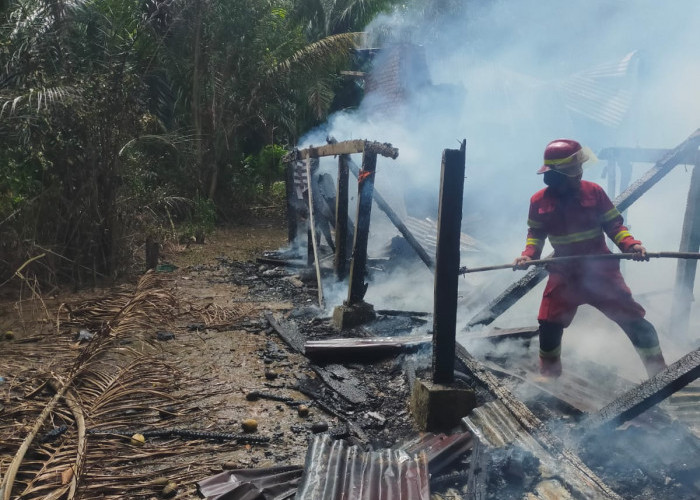 Damkar Kerahkan Tiga Unit Mobil, Berjibaku Padamkan Api di Rumah Warga Rawa Makmur