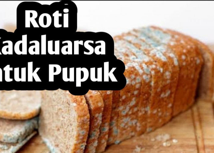 Manfaat Roti Kadaluarsa Sebagai Pupuk Organik