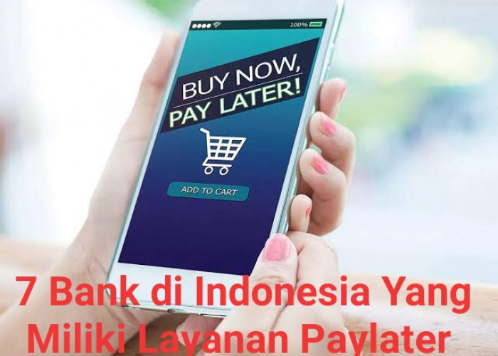 7 Bank Besar Indonesia Yang Telah Miliki Layanan Paylater, Ada BRI Salah Satunya 