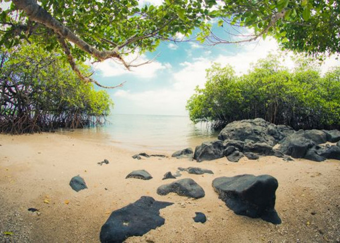 Menjelajah Pantai Bama, Destinasi Wisata di Kawasan Taman Nasional Baluran Jawa Timur 