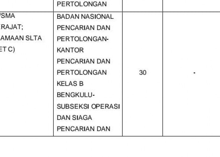 Basarnas Buka Penerimaan CPNS Tahun 2024, Ada Formasi Lulusan SMA dan Paket C 