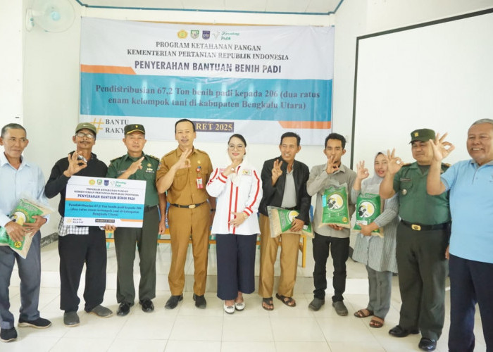 206 Kelompok Tani di Bengkulu Utara Terima Bantuan Benih Padi 