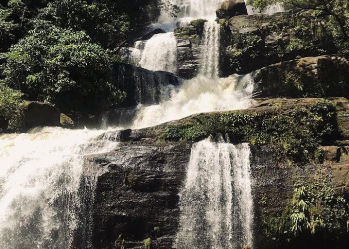 Keindahan Air Terjun Riam Bedawat di Tengah Hutan Tropis Habitat Flora dan Fauna Khas Kalimantan Barat