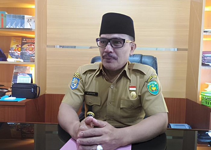 Hasil Seleksi Administrasi P3K Pemkot Bengkulu, 59 Dari 1507 Pelamar Tak Lolos 