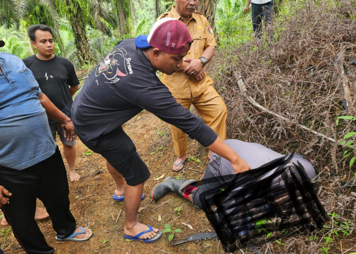 Warga Sidodadi Mukomuko Ditemukan Meninggal di Kebun Sawit, Ini Penyebabnya