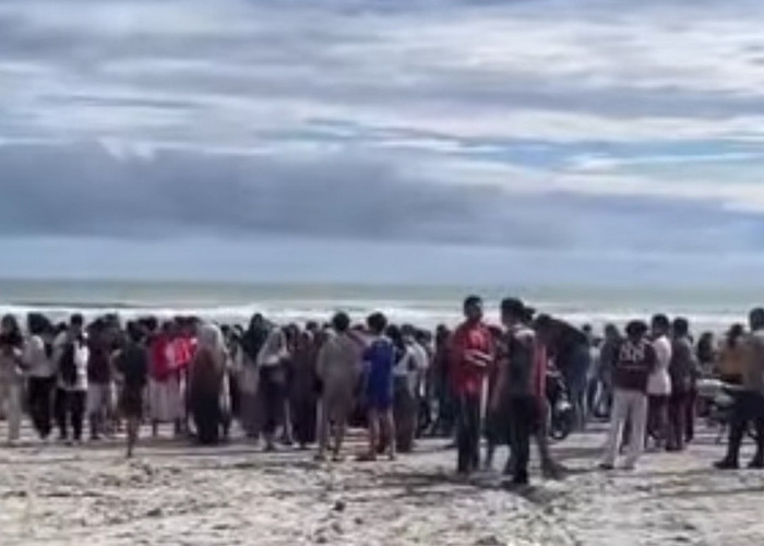 Pelajar SMP Asal Pondok Batu Hilang Terseret Ombak di Pantai Badri Mukomuko