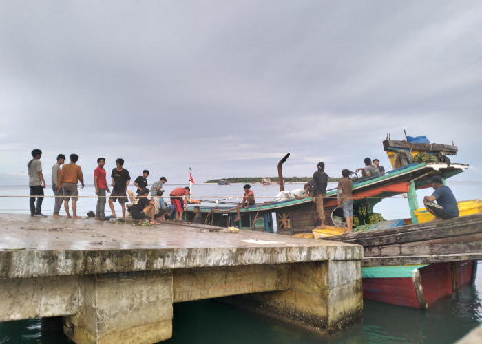 Kirisis Ekonomi Ancam Pulau Enggano, Hasil Bumi Dibiarkan Busuk Akibat Tak Ada Kapal Pengangkut