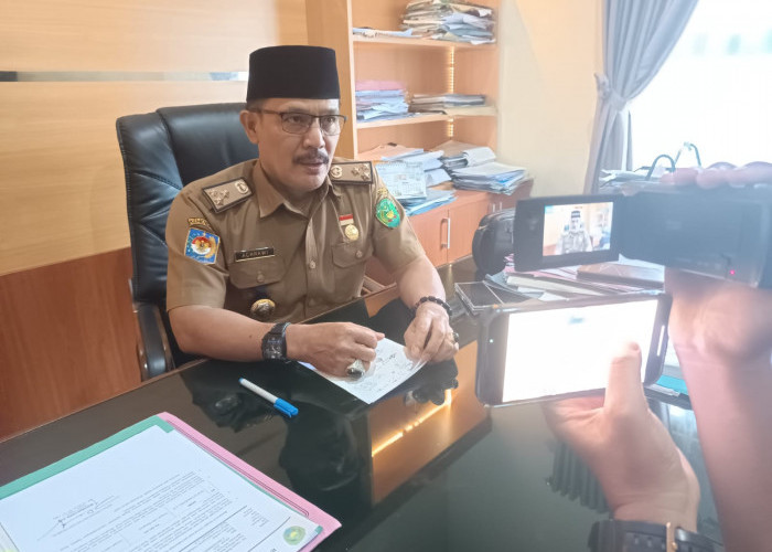 Seleksi P3K Pemkot Bengkulu Gelombang II, Hasil Pemeriksaan Sementara 152 Pelamar TMS