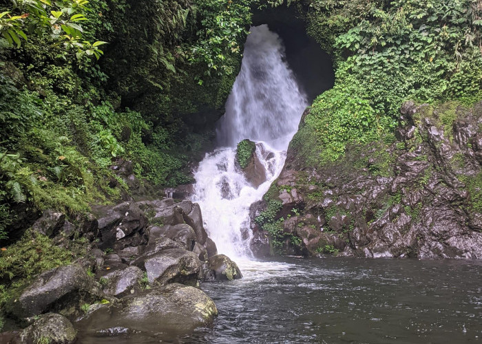 Air Terjun Curung Cincin di Bengkulu Utara, Suguhkan Pesona Alam yang Menawan