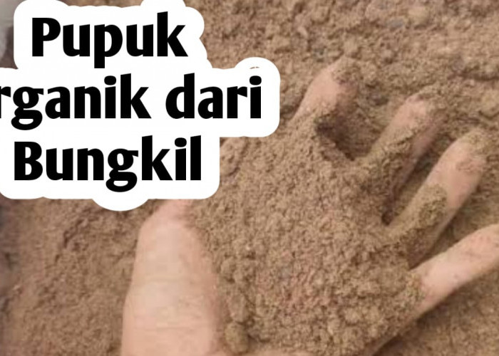 Membuat Pupuk Organik dari Bungkil, Ini Manfaatnya