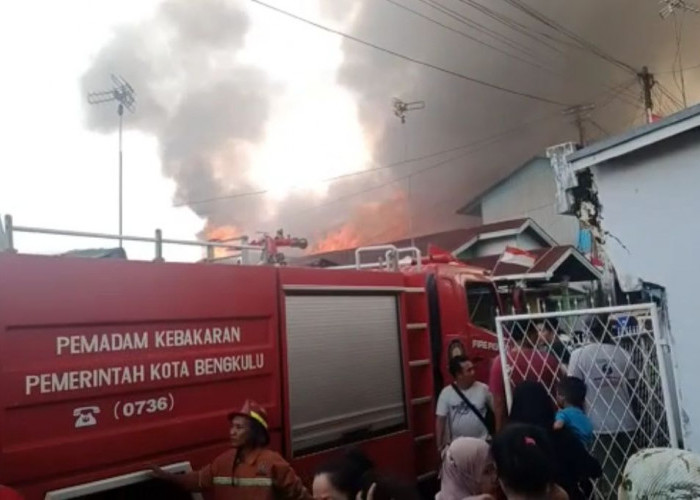 12 Rumah di Kota Bengkulu Hangus Terbakar