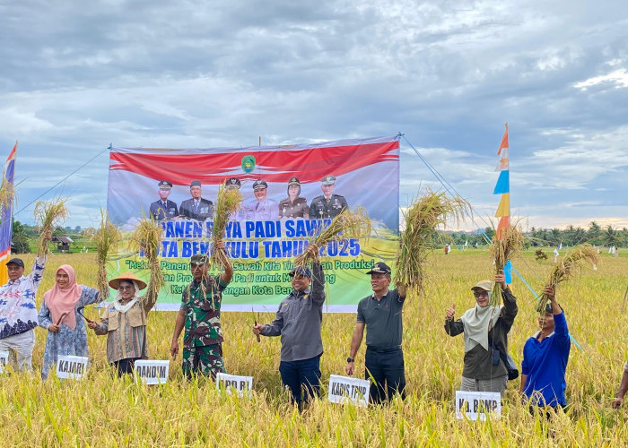 Hadiri Panen Raya, DPD RI Dukung Swasembada Pangan dari Bengkulu