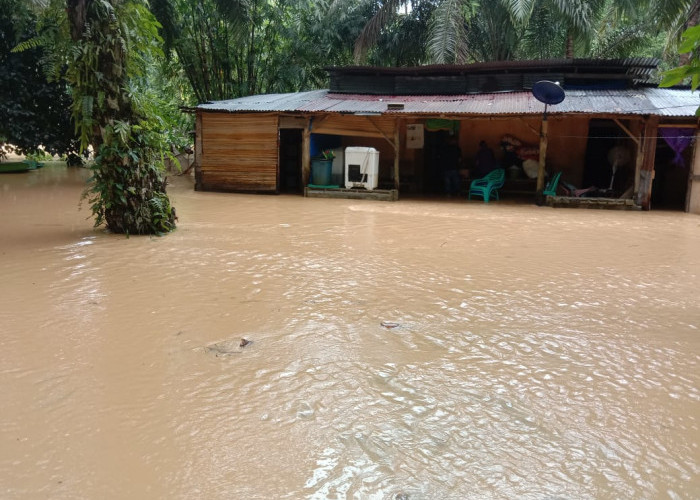 Belasan Rumah di Bengkulu Utara Terendam Banjir