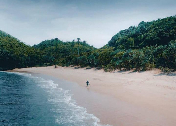 Pantai Jelangkung di Desa Gajahrejo Malang, Simak Asal Usul dan Keindahan Panoramanya  