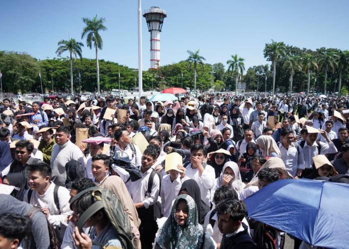 Digaji UMP, Ribuan Fresh Graduate Telah Bekerja Lewat Loker  Magang Nasional 