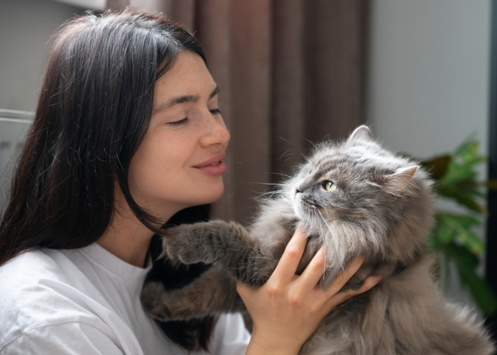 Aneh tapi Nyata, Kenapa Kucing Suka Mendekati Orang yang Takut Padanya?