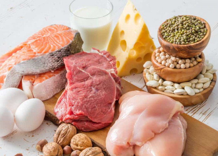 Cocok untuk Diet! Pilihan Makanan Kaya Protein yang Sehat dan Mengenyangkan