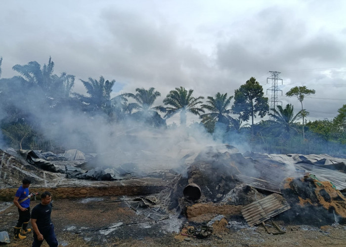 Kandang Ayam di Ulak Lebar Pino Terbakar, Kerugian Capai Rp750 Juta