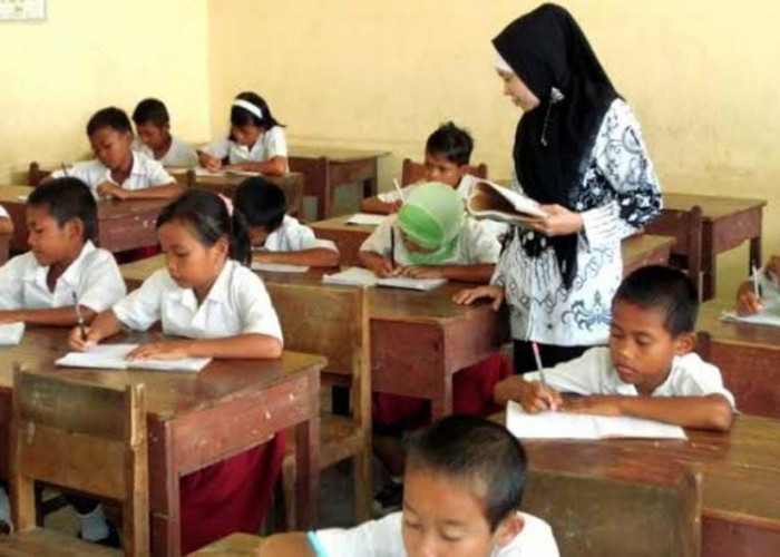 Ratusan Guru Honorer di Kota Bengkulu Diusulkan Jadi PPPK