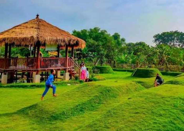 Berkunjung ke Taman Jeruk Surabaya, Destinasi Wisata yang Cocok Untuk Berlibur Bersama Keluarga 