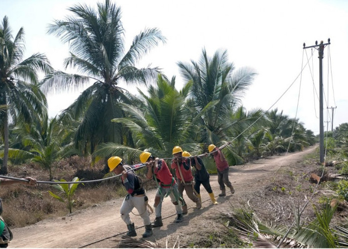 Listrik PLN Masuk Desa, Industri Perikanan Warga Desa Perajen Jaya di Sumsel Tumbuh Pesat