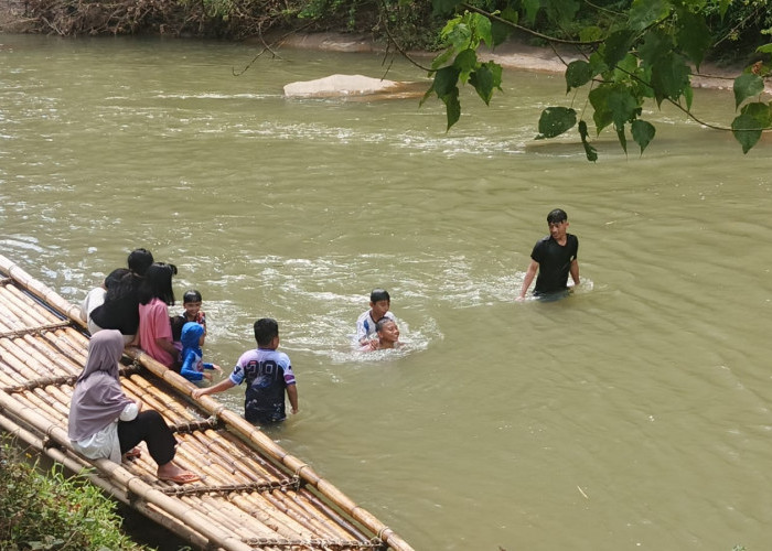 Jadi Primadona, Wisata Ikan Larangan Taba Lubuk Puding Dikunjungi  Wisatawan