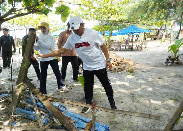 Warem di Pantai Panjang Dibongkar, Pemkot Bengkulu Tegaskan Tak Ada Toleransi