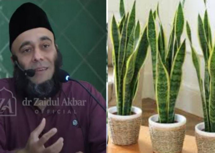 Tanaman Ini Ampuh Membasmi Sel-sel Cikal Bakal Kanker, Berikut Penjelasan dr Zaidul Akbar