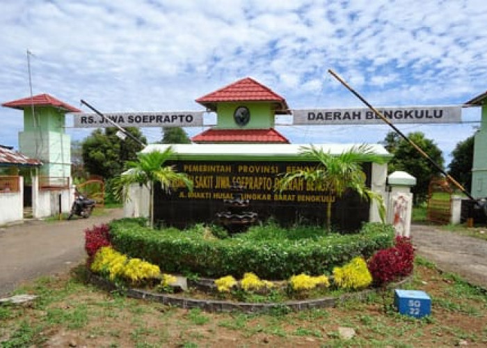 Kasus Suap PHL PDAM Bengkulu Bergulir, Kuasa Hukum Direktur Singgung Dugaan Kasus Serupa di RSJKO Bengkulu
