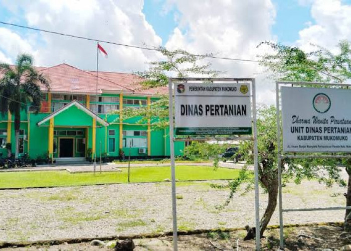 Harga TBS Sawit di Mukomuko Belum Capai Standar Provinsi, Petani Tetap Berharap Kenaikan