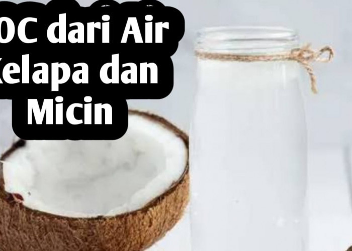 Membuat POC dari Fermentasi Micin dan Air Kelapa