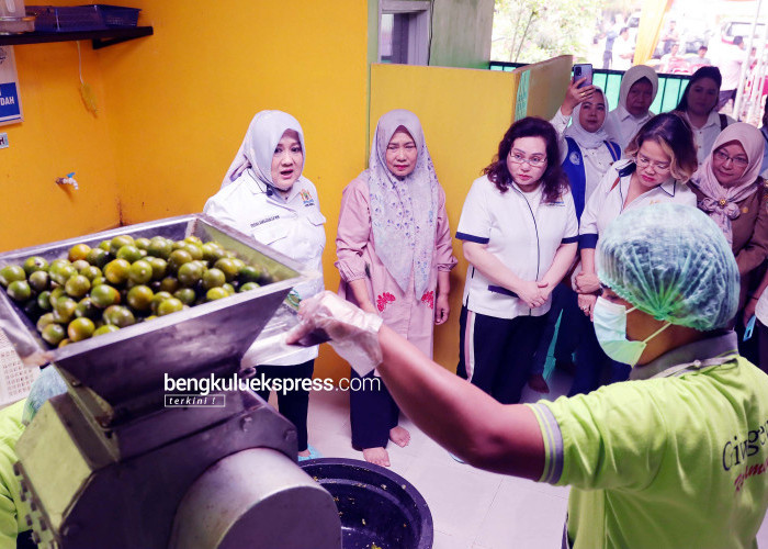 Penjurian KADIN Impact Award Tinjau Produksi Sirup Jeruk Kalamansi Bengkulu