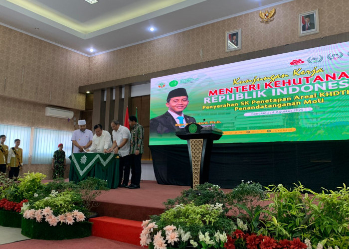 UMB Terima SK Pengelolaan Hutan dari Menteri Kehutanan RI, Akan Dijadikan Hutan Riset dan Edukasi