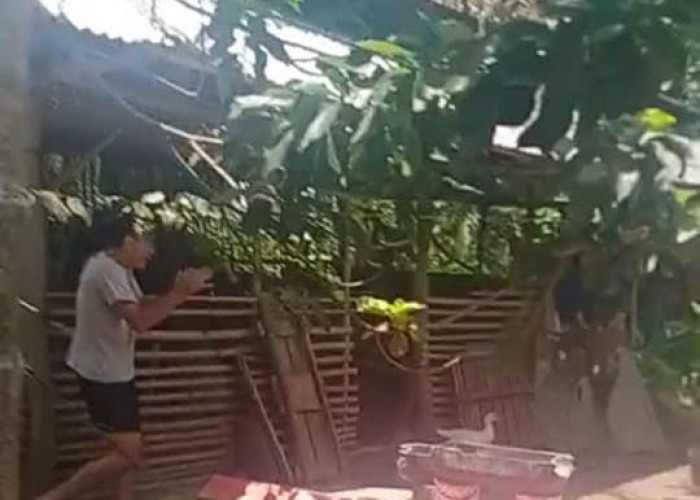 Inspektorat BS Harap Dua Oknum Guru Disnonaktifkan Demi Kelancaran Proses Pemeriksaan