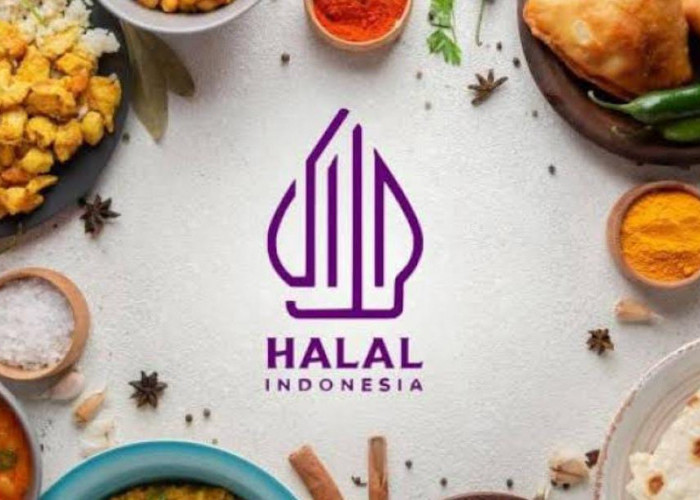 Tak Punya Sertifikat Halal, Barang Dagangan Bisa Ditarik, Daftarkan Gratis Segera Bagi Pelaku UMKM 