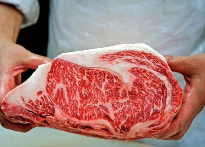 Perusahaan Jepang Gunakan Teknologi AI Evaluasi Penilaian Daging Wagyu