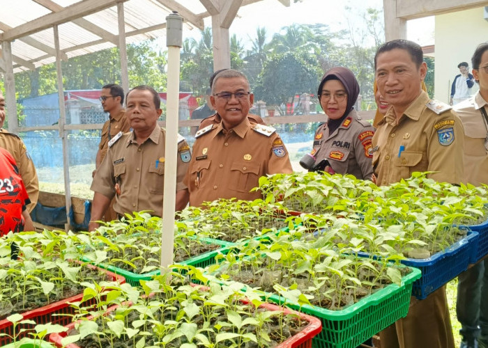 Intip Green House DKP Bengkulu Utara, Wabup Sumarno Ingatkan Bantuan Bibit Jangan Mubazir